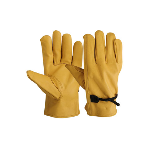 Driver Gloves